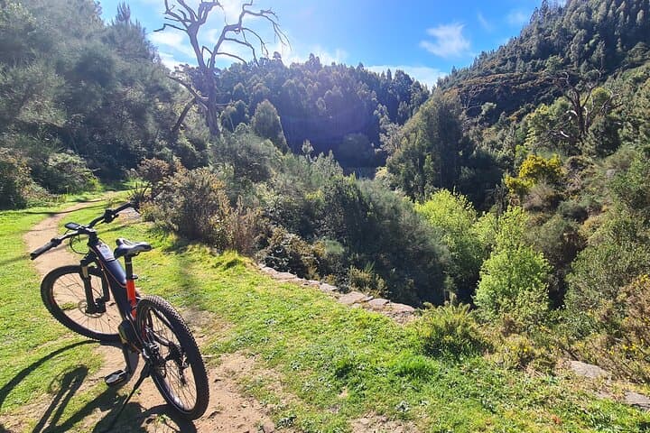 Levada da Camacha E-Bike Tour: Ride Levadas and Laurissilva Forests in Madeira
