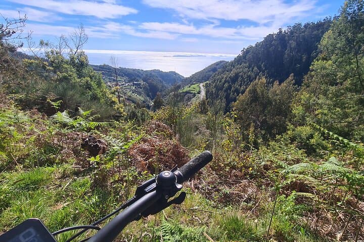 Levada da Camacha E-Bike Tour: Ride Levadas and Laurissilva Forests in Madeira photo 2