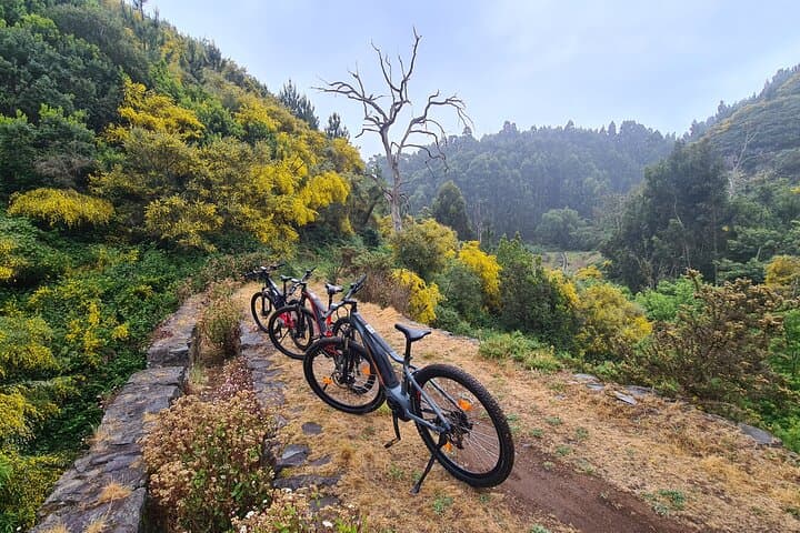 Levada da Camacha E-Bike Tour: Ride Levadas and Laurissilva Forests in Madeira photo 5