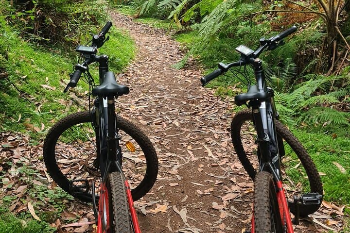 Levada da Camacha E-Bike Tour: Ride Levadas and Laurissilva Forests in Madeira photo 6