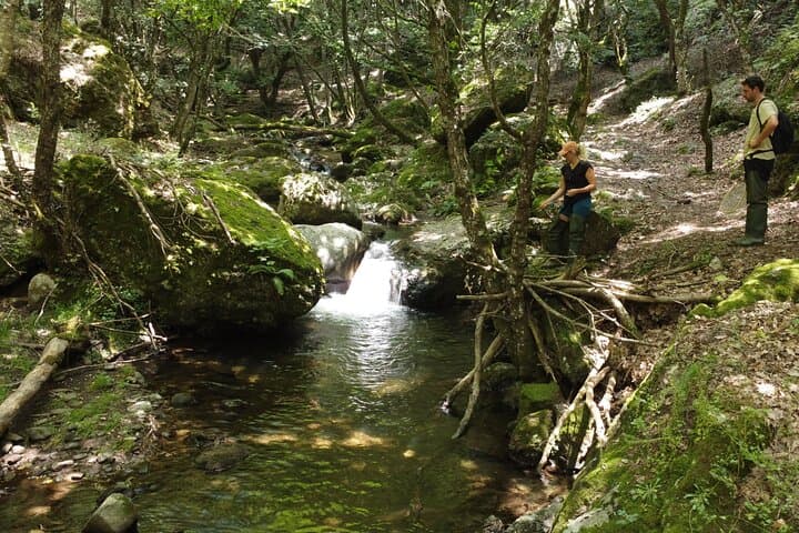 Sicily Fly Fishing Day Trip from Catania, Taormina & Syracuse photo 2
