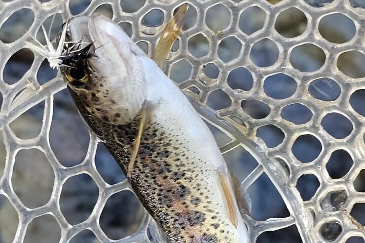 Sicily Fly Fishing Day Trip from Catania, Taormina & Syracuse photo 5