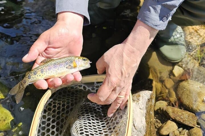 Sicily Fly Fishing Day Trip from Catania, Taormina & Syracuse photo 4