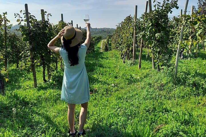 Private Prosecco Road Tour from Venice: Conegliano to Valdobbiadene Tasting Experience photo 2