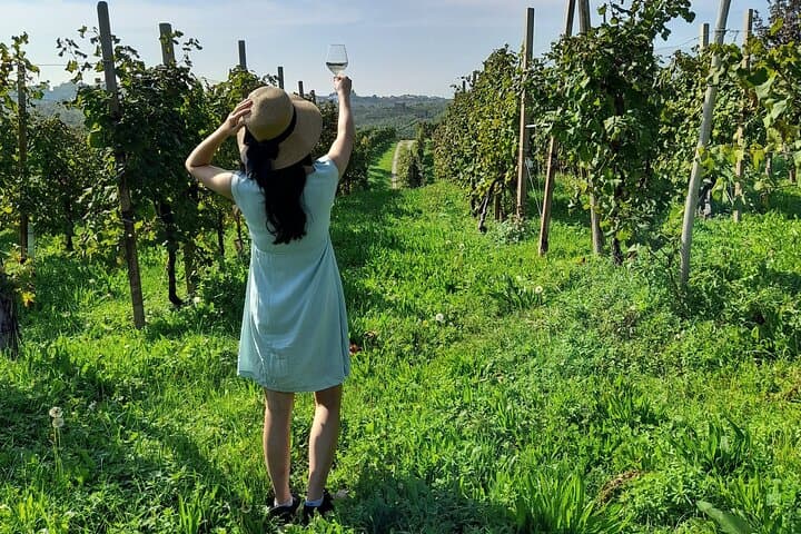 Private Prosecco Road Tour from Conegliano — 3 Wineries, Lunch & Cellar Visits photo 2