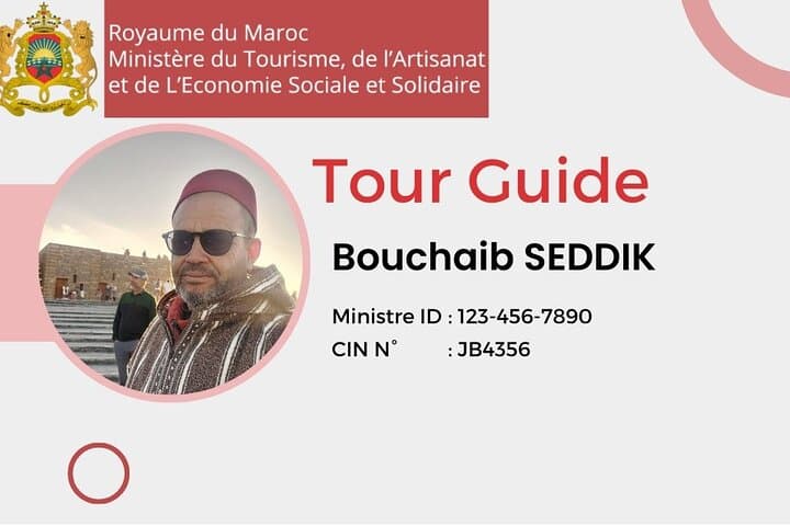 Private day trip to Marrakech from Agadir — Medina, Koutoubia & Majorelle Gardens photo 2