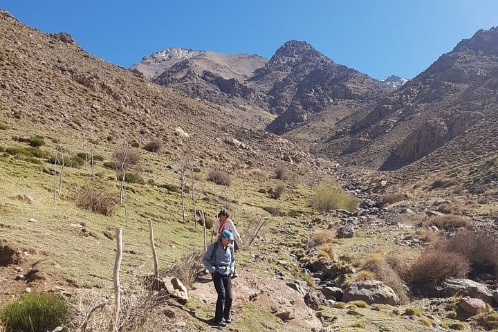 Private Agafay Desert Excursion from Marrakech — Camel Ride, Atlas Views & Argan Cooperative photo 5