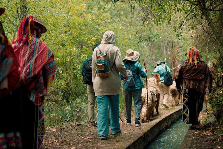 Sacred Valley Alpaca Walk & Natural Dye Workshop: Full-Day Cultural Hike photo 2