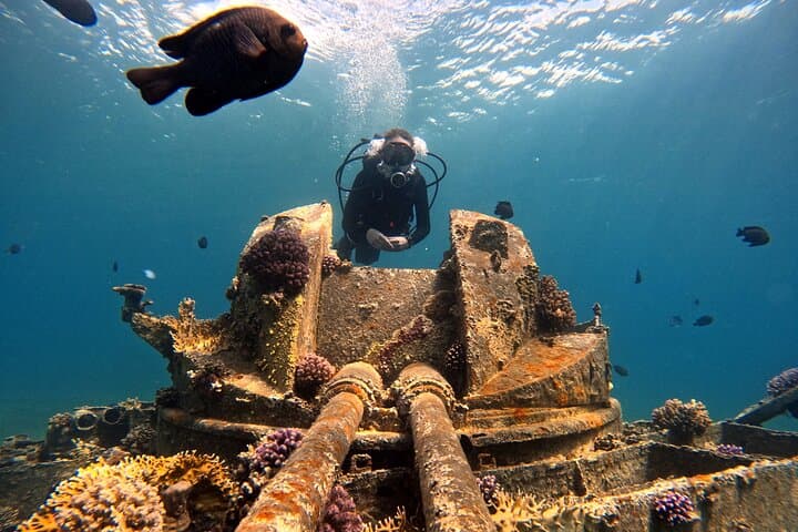 Private 2-Hour Shore Scuba Experience in Aqaba's Red Sea Wrecks photo 4