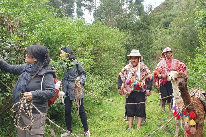 Sacred Valley Alpaca Walk & Natural Dye Workshop: Full-Day Cultural Hike