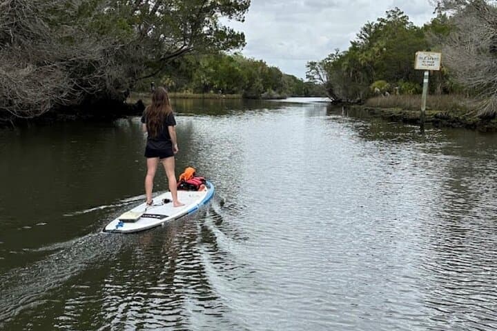 Backland Alligator Electric Paddle Tour at Crystal River Preserve photo 5
