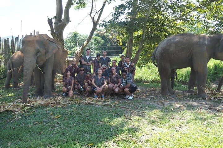 Ethical Chiang Mai Elephant Sanctuary Day Tour — Meet Rescued Elephants photo 4