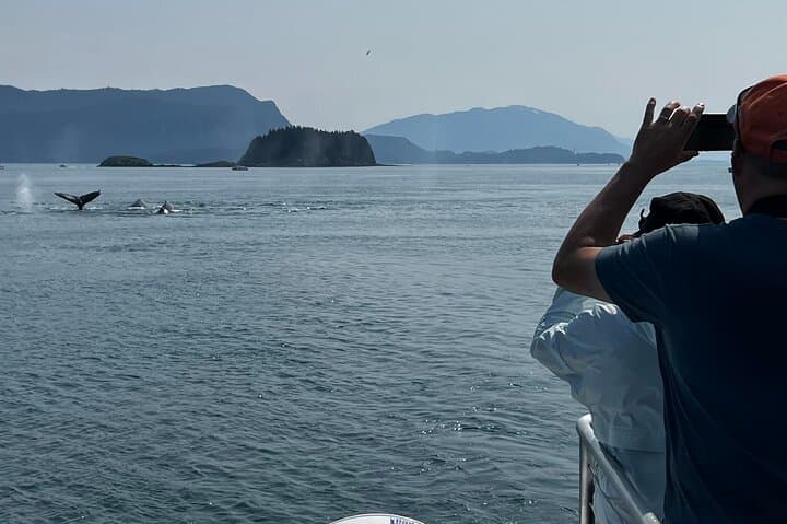 Juneau Whale Watching Cruise with Mendenhall Glacier Stop — Live-Narrated Marine Safari photo 3