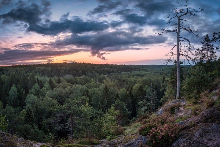 Private Nuuksio National Park and Reindeer Farm Tour from Helsinki photo 1