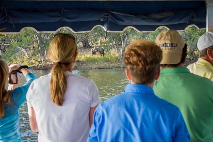 Zambezi Sunset Cruise at Victoria Falls: Evening Sundowners & Wildlife photo 3