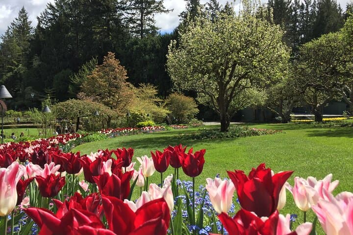 Butchart & Beyond: Grand Victoria Private Gardens, Castles & Wineries Tour photo 2