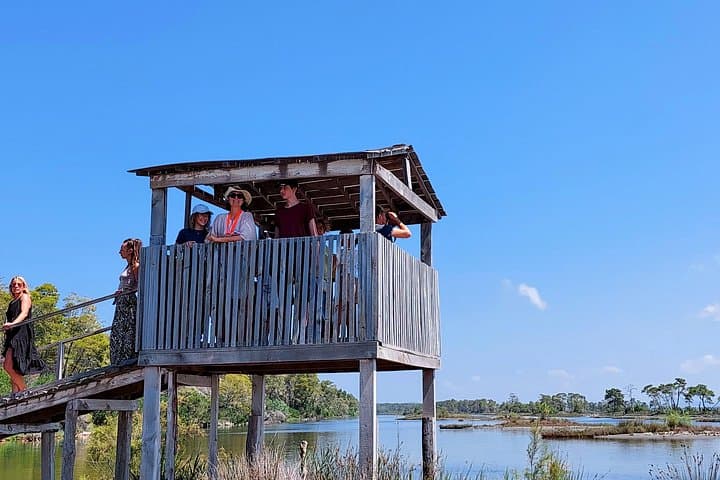Karavasta Lagoon Boat Tour from Durrës: Pelicans, Pines & Coastal Views photo 1