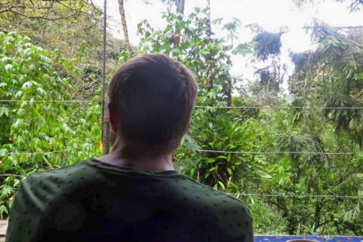 Cocora Valley Hiking: Trek to Colombia's Wax Palm Forest from Pereira or Armenia photo 3