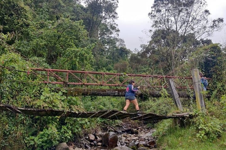 Cocora Valley Hiking: Trek to Colombia's Wax Palm Forest from Pereira or Armenia photo 5