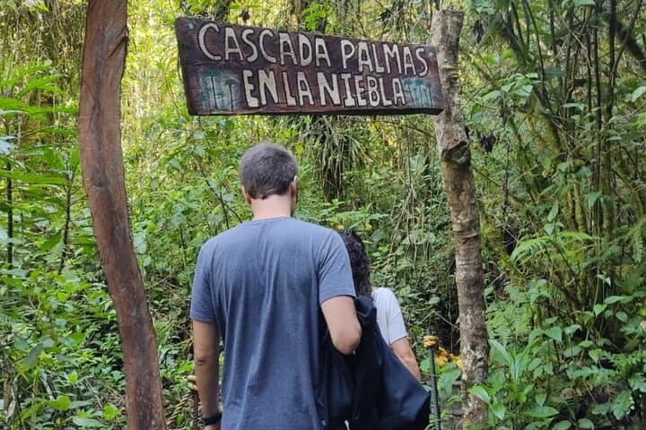 Cocora Valley Hiking: Trek to Colombia's Wax Palm Forest from Pereira or Armenia photo 6