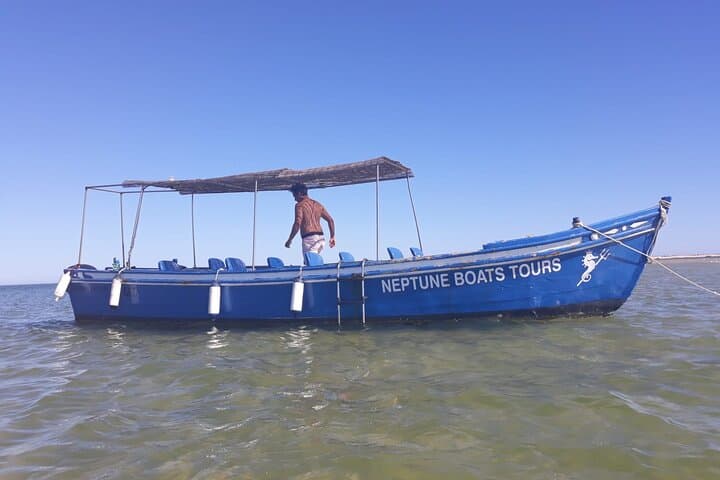 Olhão Bateira Tour: Culatra Island & Ria Formosa Lagoon Boat Trip photo 2