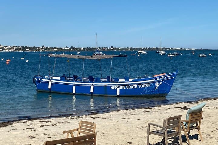 Olhão Bateira Tour: Culatra Island & Ria Formosa Lagoon Boat Trip photo 3