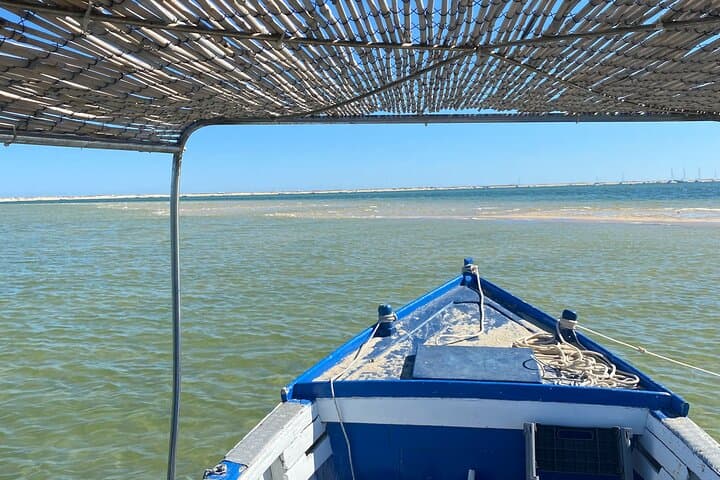 Olhão Bateira Tour: Culatra Island & Ria Formosa Lagoon Boat Trip photo 6