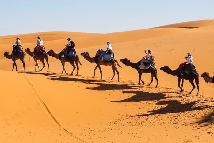 Casablanca to Marrakech: 5-Day Desert Dunes & Atlas Pass Adventure photo 3