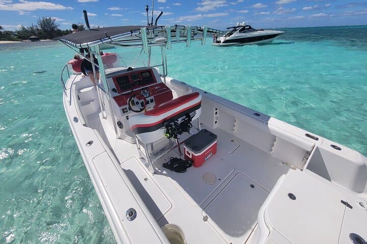 Private Donzi Powerboat: Half-Day Stingray City & Coral Reef Snorkel photo 2