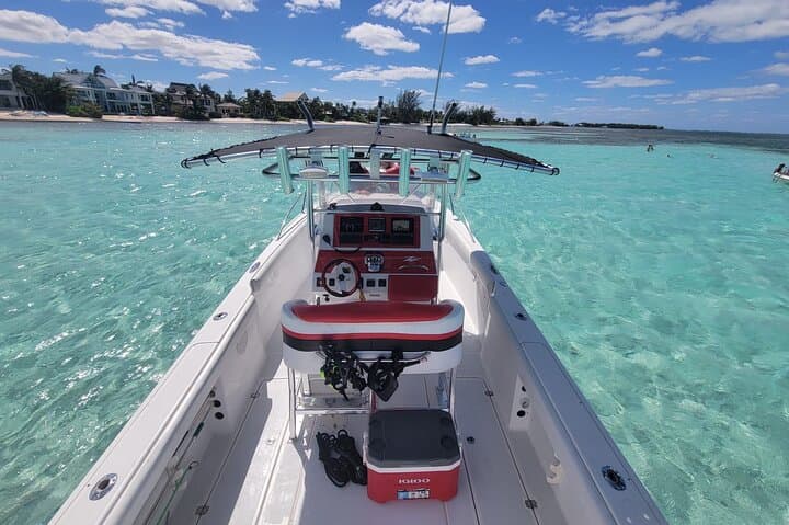 Private Donzi Powerboat: Half-Day Stingray City & Coral Reef Snorkel