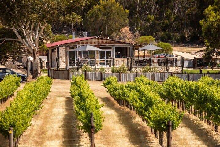 Kangaroo Island Premium Wine Tasting Tour — Cellar Doors & Coastal Vistas photo 4