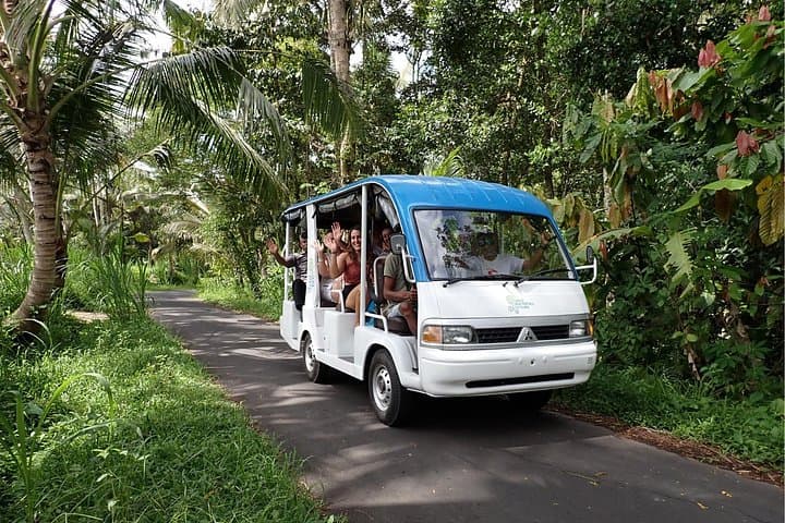 Half-Day Ubud Waterfall Tour: Tibumana, Taman Sari & Goa Rang Reng photo 3