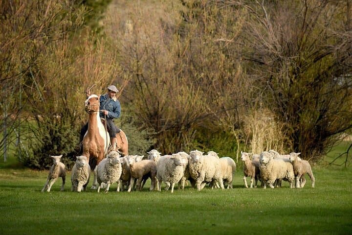 Estancia 25 de Mayo: Patagonian Ranch Dinner & Horseback Experience photo 3