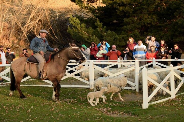 Estancia 25 de Mayo: Patagonian Ranch Dinner & Horseback Experience photo 5