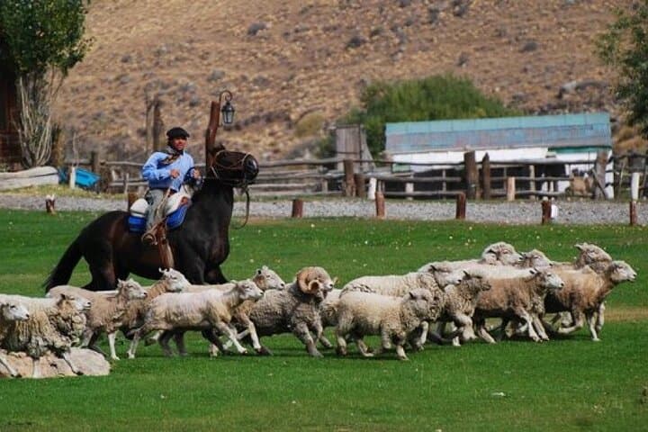Estancia 25 de Mayo: Patagonian Ranch Dinner & Horseback Experience photo 6