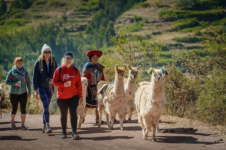 Sacred Valley Private Full-Day Tour from Cusco — Chinchero, Ollantaytambo & Pisac photo 5
