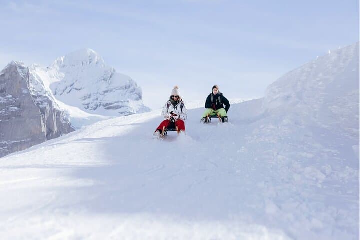 Explore Jungfraujoch: Switzerland’s Top of Europe Daytrip with Eiger Express Gondola photo 5