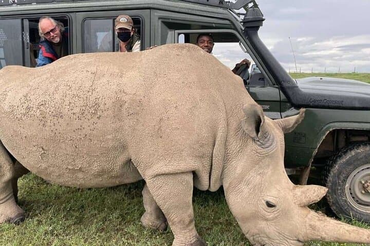 Ol Pejeta Day Tour: Sweetwaters Chimpanzee Sanctuary & Big Five Game Drive photo 3
