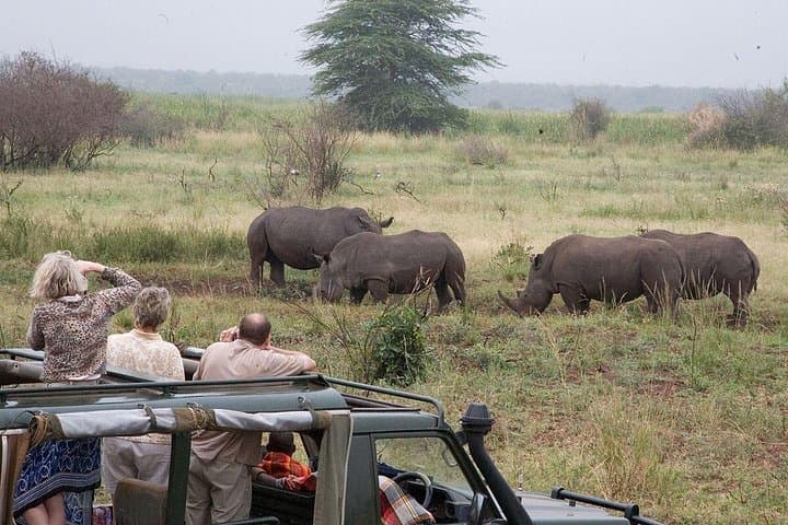 6-Day Rhino Conservation Safari: Solio, Aberdare & Ol Pejeta in Kenya photo 2