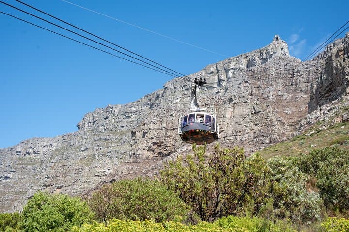 Cape Peninsula Private Tour: Table Mountain, Boulders Beach & Cape Point photo 3