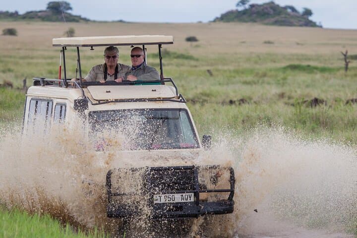 5-Day Northern Tanzania Safari: Serengeti, Ngorongoro & Lake Manyara photo 5