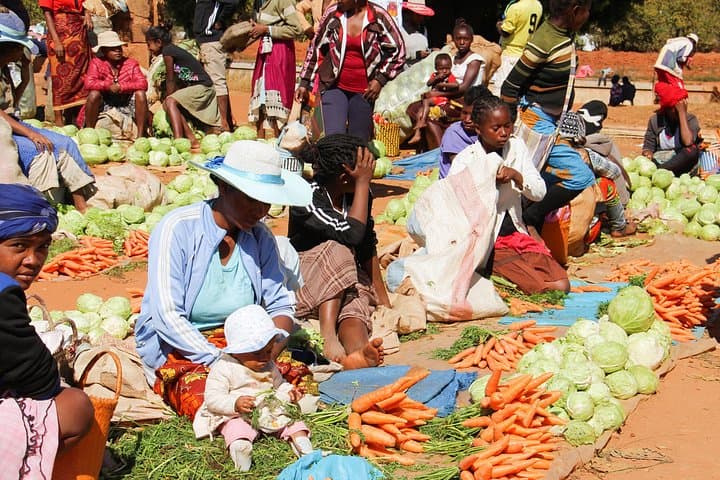 Journey the Mythique Nationale 7: 13-Day Madagascar Private Tour photo 4