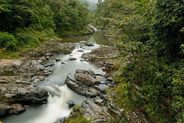 Journey the Mythique Nationale 7: 13-Day Madagascar Private Tour photo 6