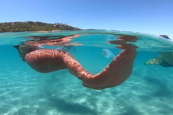 Mermaid Private Experience in Southern Sardinia — Learn Mermaiding in Crystal Waters photo 3