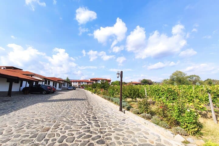 Starosel Wine Temple Tasting: 3–7 Wine & Brandy Flights in the Thracian Valley