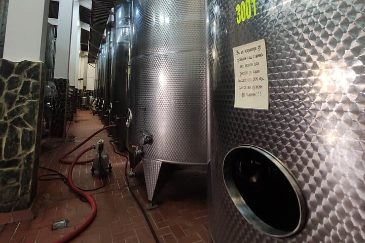 Starosel Wine Temple Tasting: 3–7 Wine & Brandy Flights in the Thracian Valley photo 3