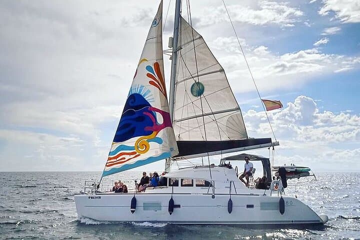 Marbella Small-Group Catamaran Dolphin Watch & Swim — 2-Hour Cruise photo 2