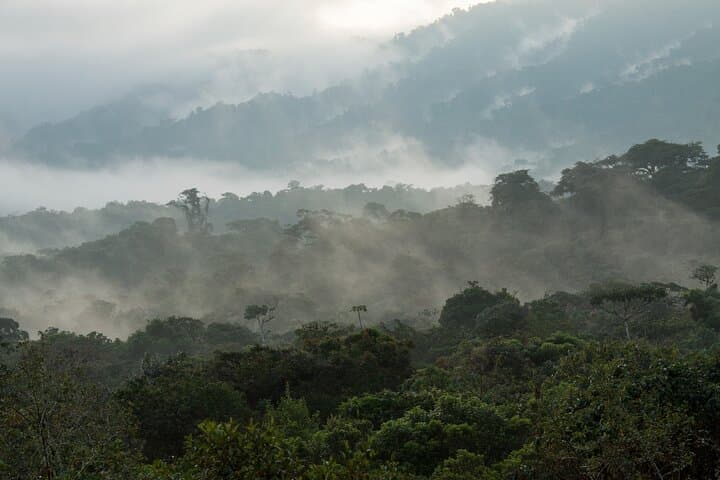 Amazonia 360 Jungle Day Tour: Arajuno River Tubing, Amazoonico & Indigenous Encounters photo 4