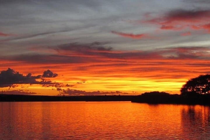 Zambezi Sunset Cruise from Livingstone: River Safari, Game Viewing & Drinks photo 6