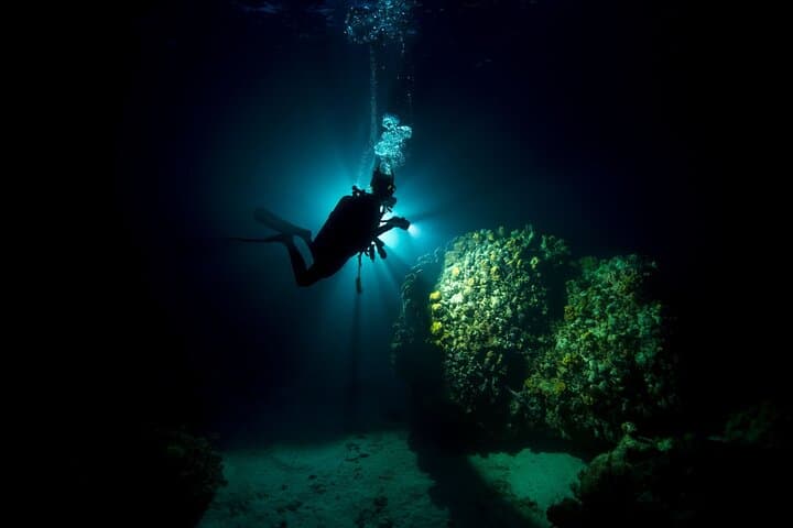 Night Dive at Tugboat Beach, Curaçao — Explore the Tugboat Wreck After Dark